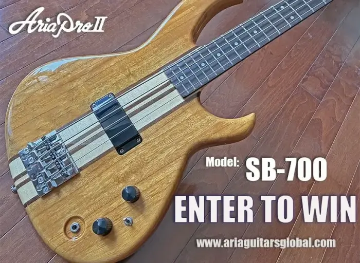 Win a FREE Aria Pro II SB-700 Giveaway