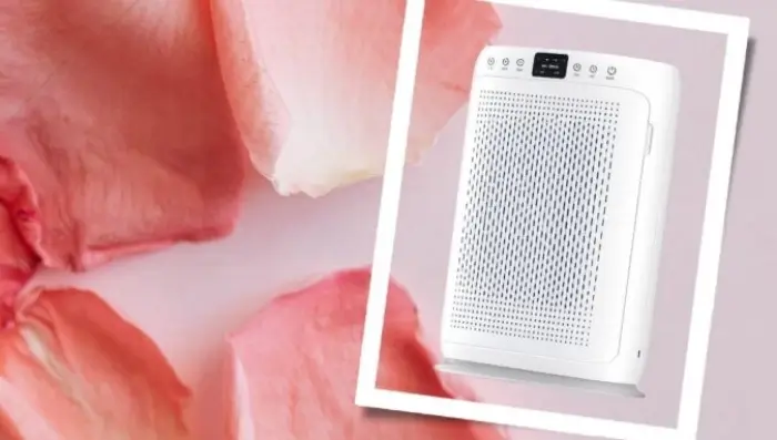 Win Lunino Air Purifier Giveaway